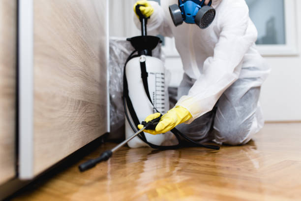 Best Flea Control Services  in Chamberlayne, VA