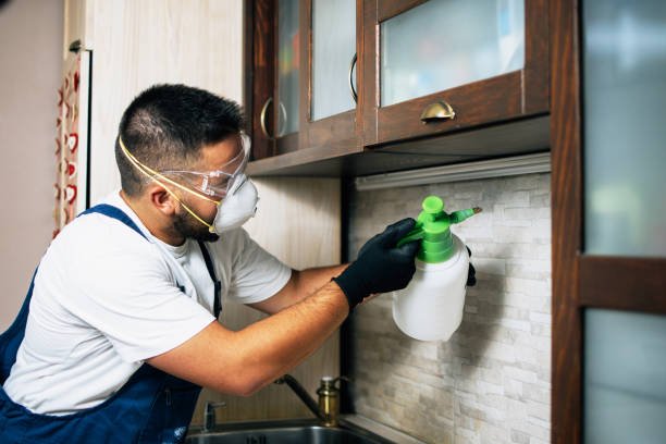 Best Local Pest Control Services  in Chamberlayne, VA