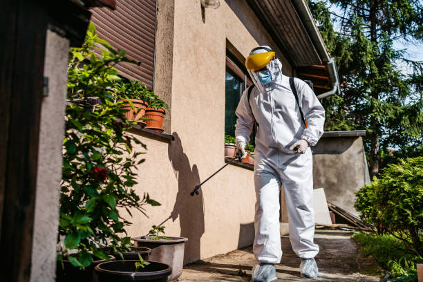 Best Pest Removal Services  in Chamberlayne, VA