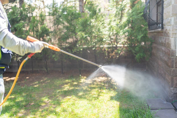 Best Emergency Pest Control  in Chamberlayne, VA