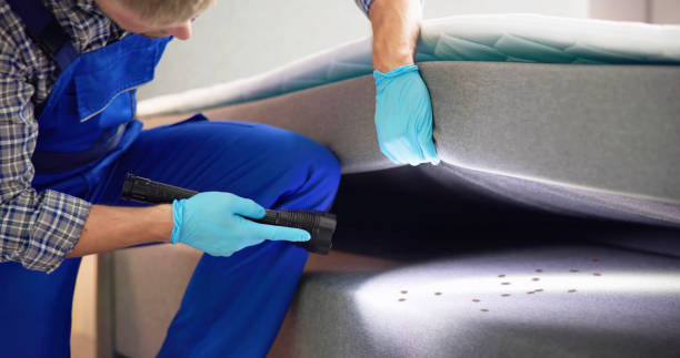 Pest Prevention Services in Chamberlayne, VA