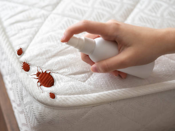 Best Pest Inspection Near Me  in Chamberlayne, VA
