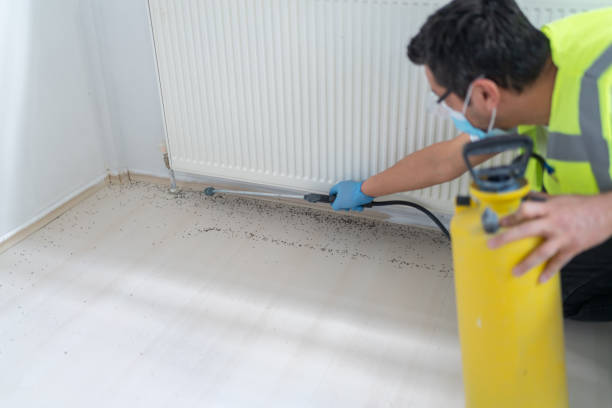 Best Local Pest Control Services  in Chamberlayne, VA